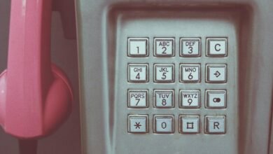phone numbers list provided